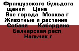 Французского бульдога щенки  › Цена ­ 35 000 - Все города, Москва г. Животные и растения » Собаки   . Кабардино-Балкарская респ.,Нальчик г.